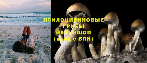 гидропоника Абаза