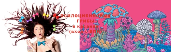 гидропоника Абаза